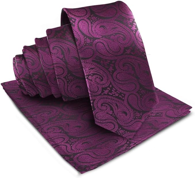 Vittorio Farina Men's Woven Paisley Necktie & Pocket Square - Suits You Sir - Plum -