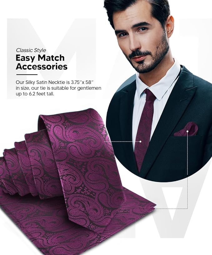 Vittorio Farina Men's Woven Paisley Necktie & Pocket Square - Suits You Sir - Plum -