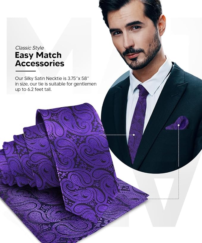 Vittorio Farina Men's Woven Paisley Necktie & Pocket Square - Suits You Sir - Purple -