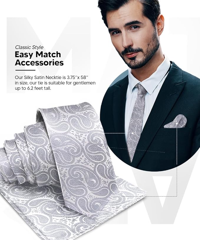 Vittorio Farina Men's Woven Paisley Necktie & Pocket Square - Suits You Sir - Silver -