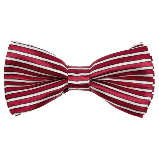Vittorio Farina Boy's Design Satin Bow Tie - Suits You Sir - Burgundy and White Stripes - 