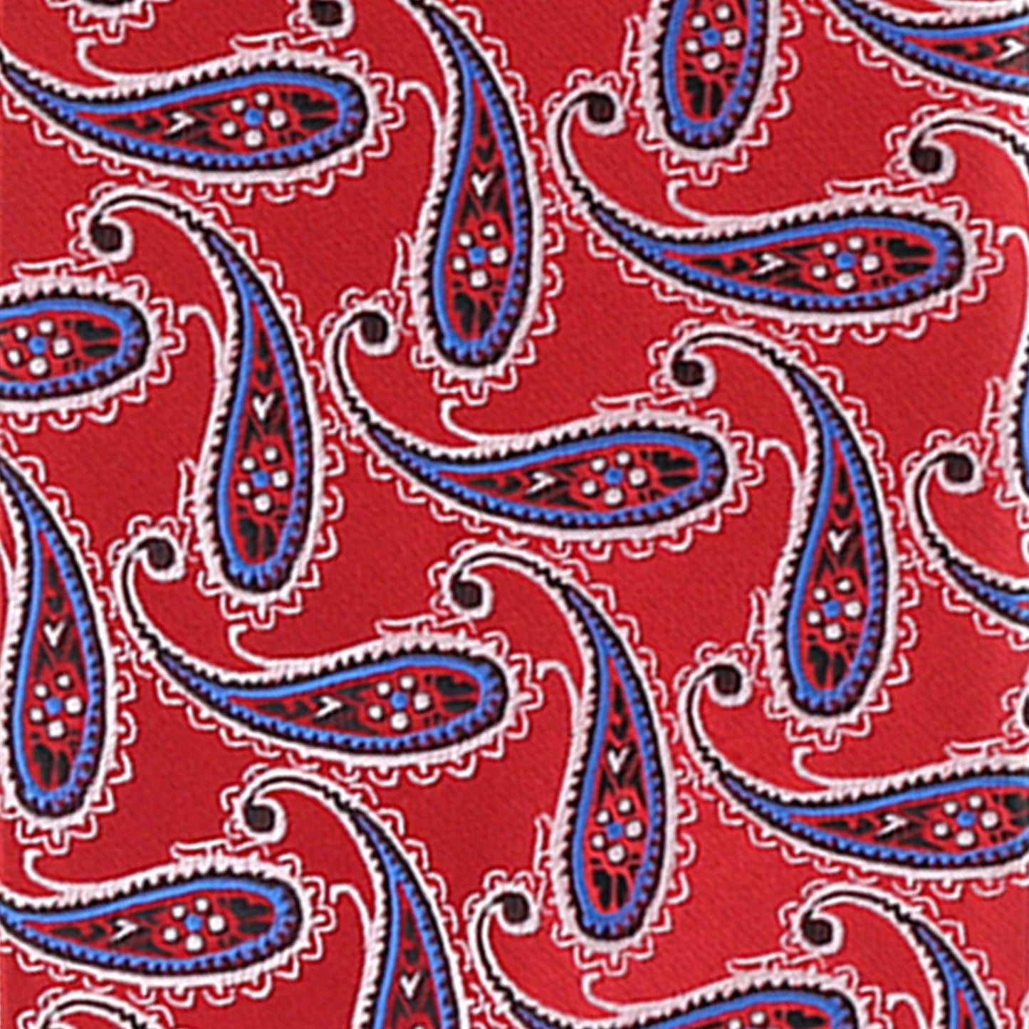 Vittorio Farina Men's Paisley Design Necktie & Pocket Square - Suits You Sir - D - 1214 - 