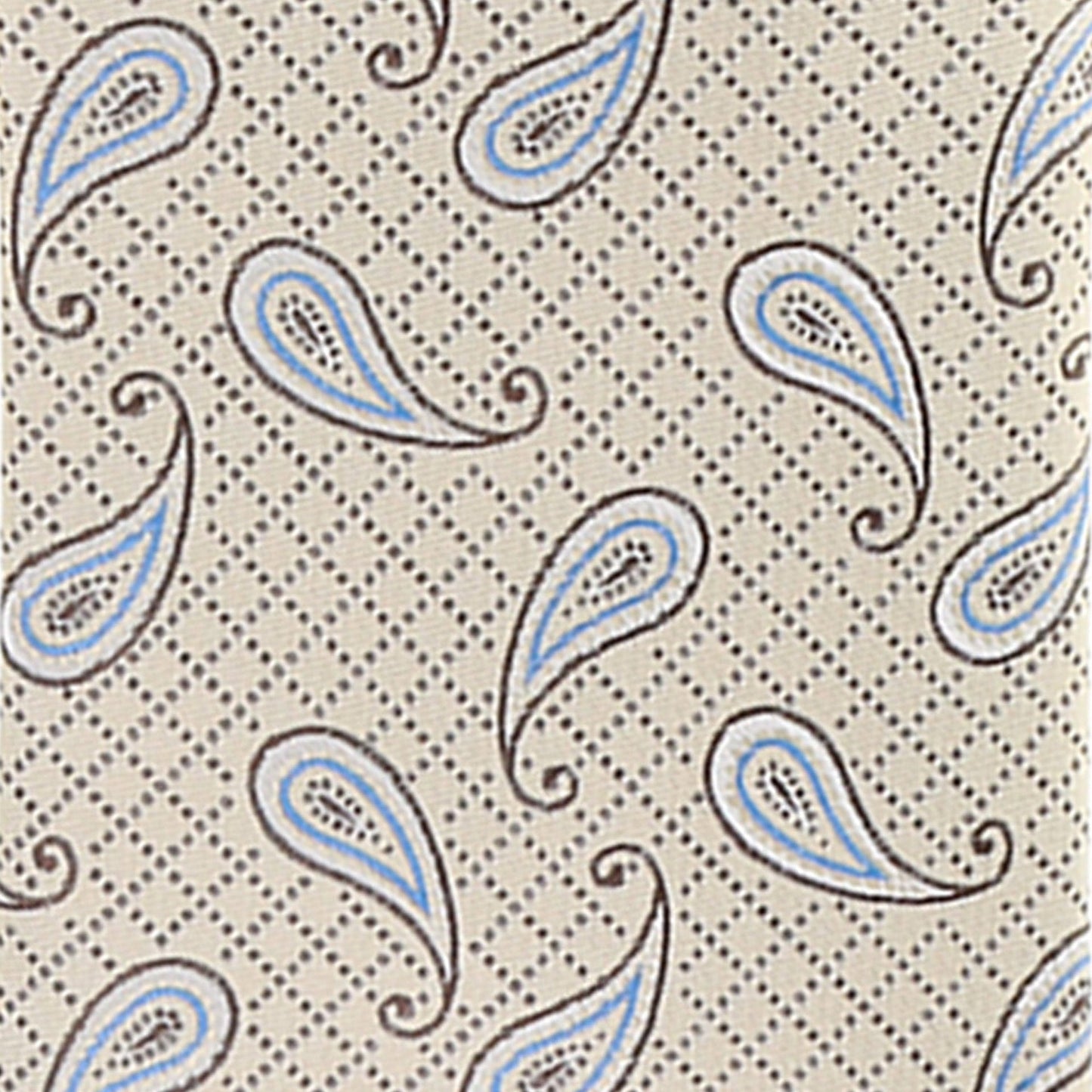Vittorio Farina Men's Paisley Design Necktie & Pocket Square - Suits You Sir - D - 1231 - 
