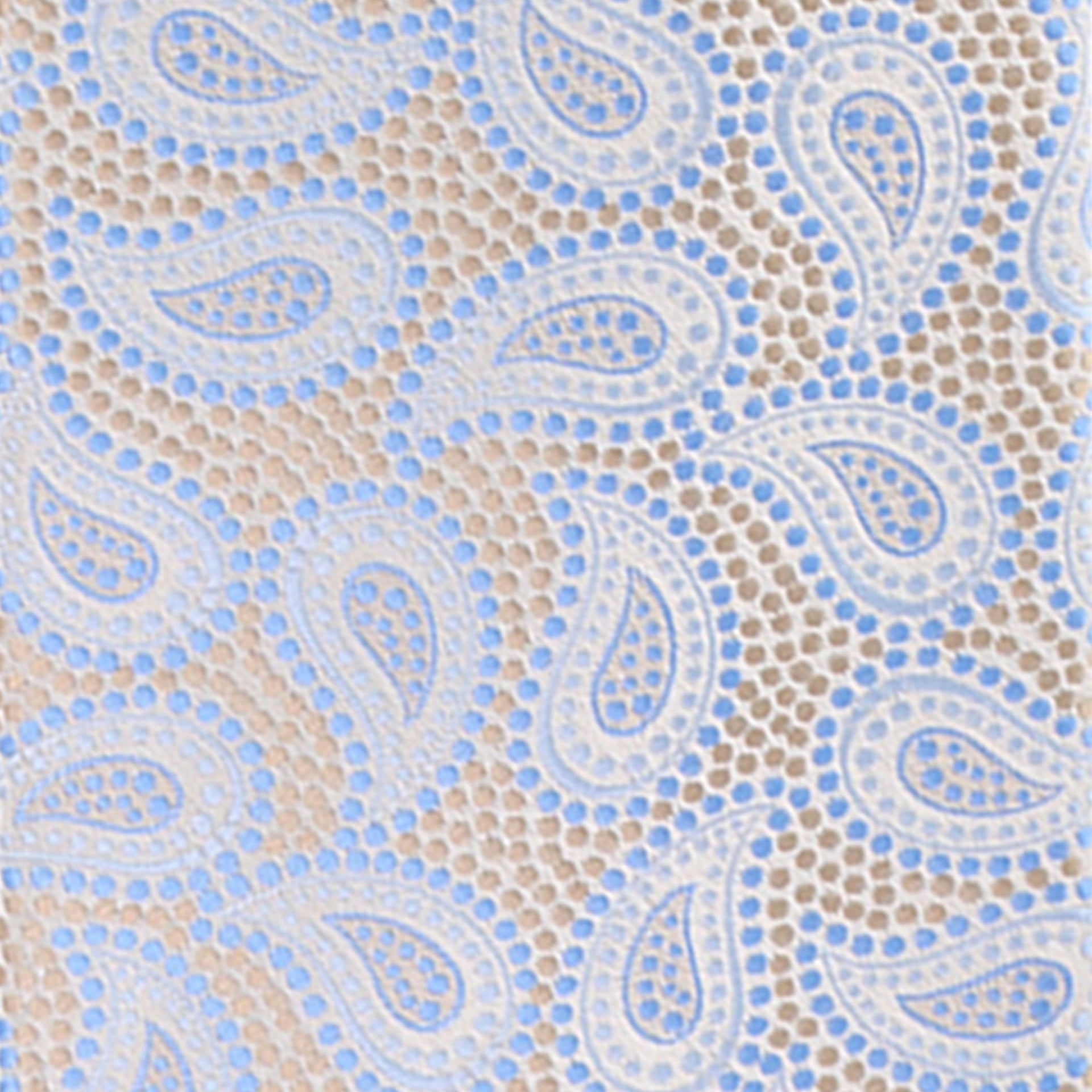 Vittorio Farina Men's Paisley Design Necktie & Pocket Square - Suits You Sir - D - 1231 - 