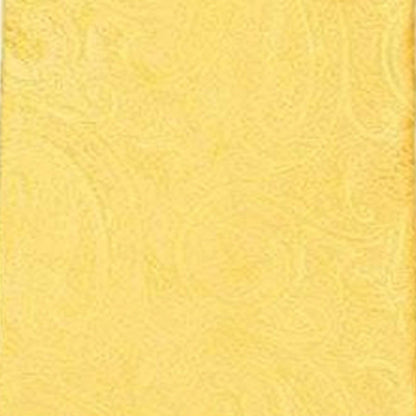 Vittorio Farina Men's Paisley Design Necktie & Pocket Square - Suits You Sir - D - 1375 - 